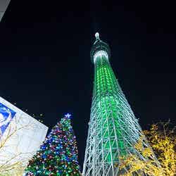 「東京スカイツリータウン(R)ドリームクリスマス2015」/クリスマス限定ライティングとクリスマスツリー(昨年の様子)(C)TOKYO-SKYTREETOWN【モデルプレス】