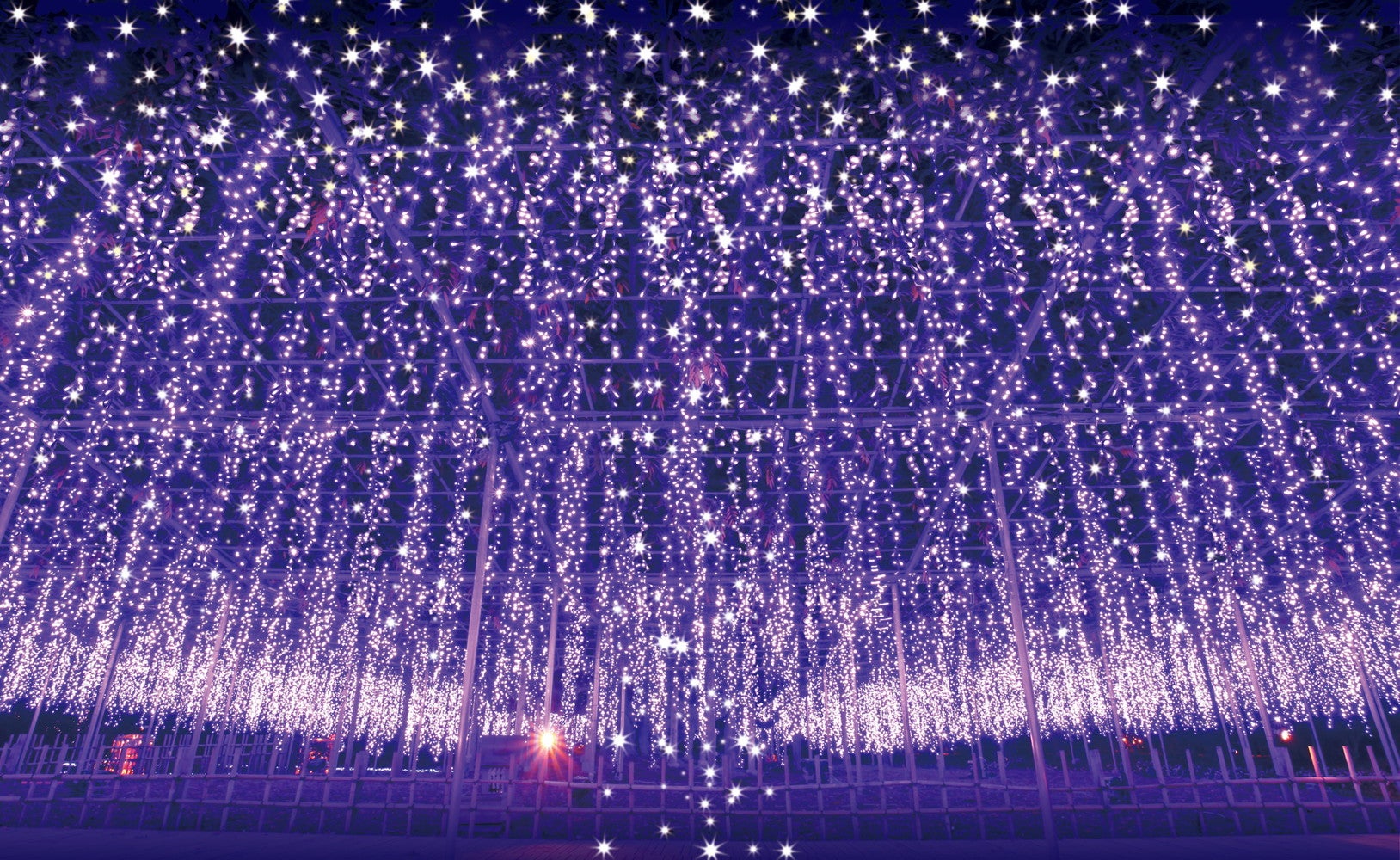 あしかがフラワーパーク／提供画像