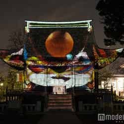 2014年の円融寺のプロジェクションマッピングの様子/画像提供:一般財団法人 最先端表現技術利用推進協会【モデルプレス】