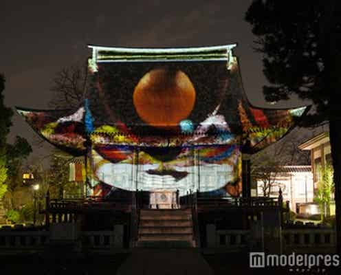 年越しデートに♡「円融寺」のプロジェクションマッピングが幻想的