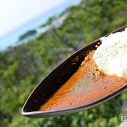 沖縄恩納村「土花土花」旨味たっぷりのカレーにはサラダ、デザートもセット