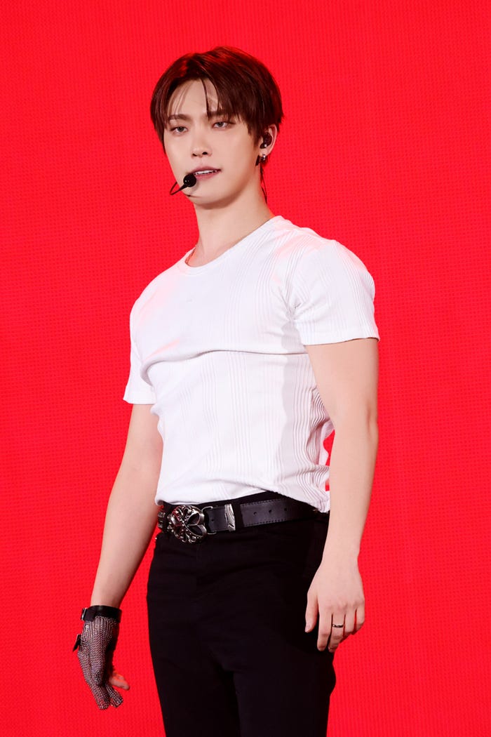 DINO(ディノ)(P)&(C)PLEDIS Entertainment