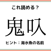 水豚 みずぶた 読めたらスゴイ 動物の難読漢字 4選 モデルプレス 水豚 みずぶた 読めたらスゴイ 動物の難読漢字 4選 モデルプレス