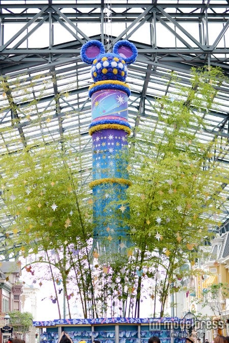 昼のウィッシングプレイス（TDL）