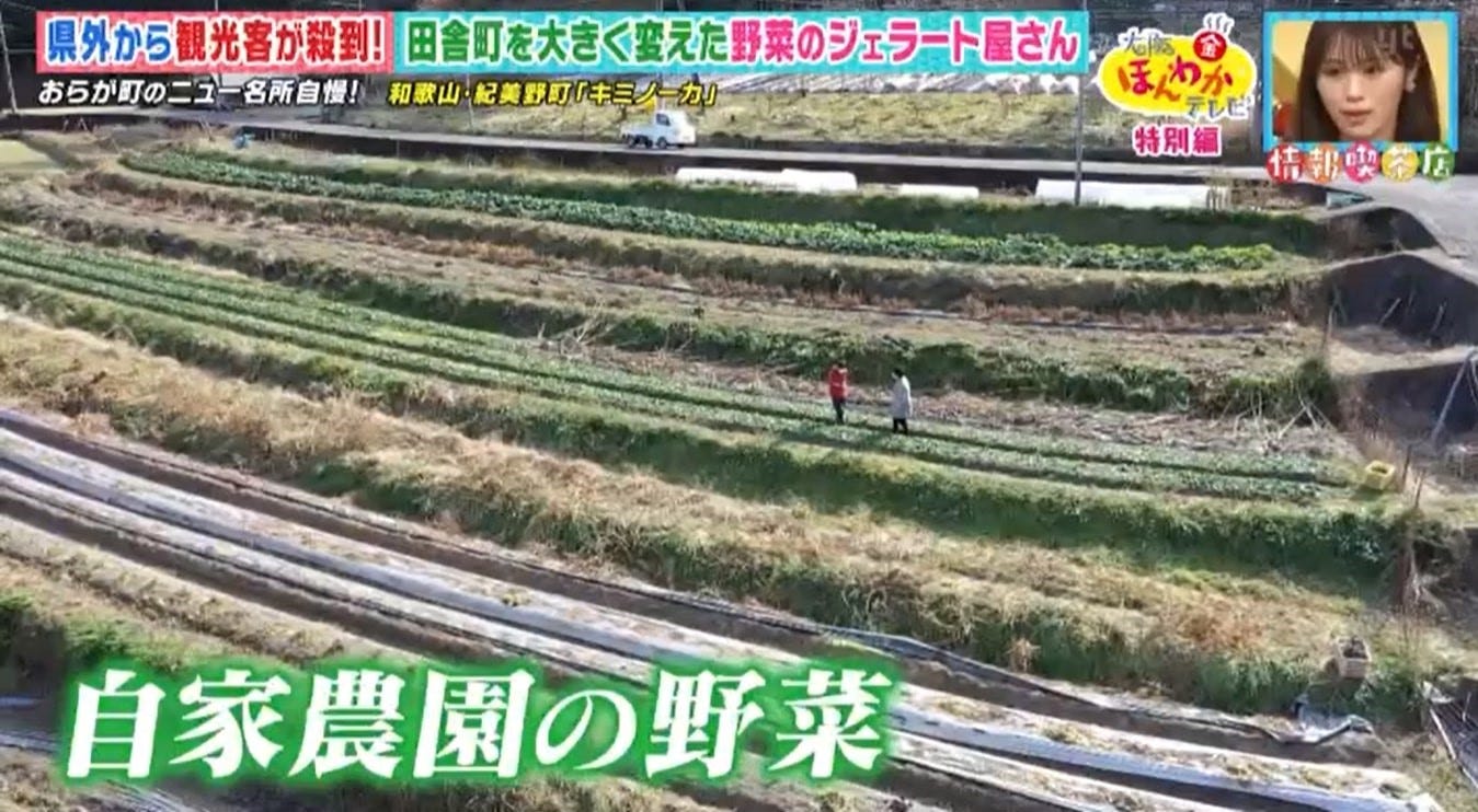 和歌山県・紀美野町