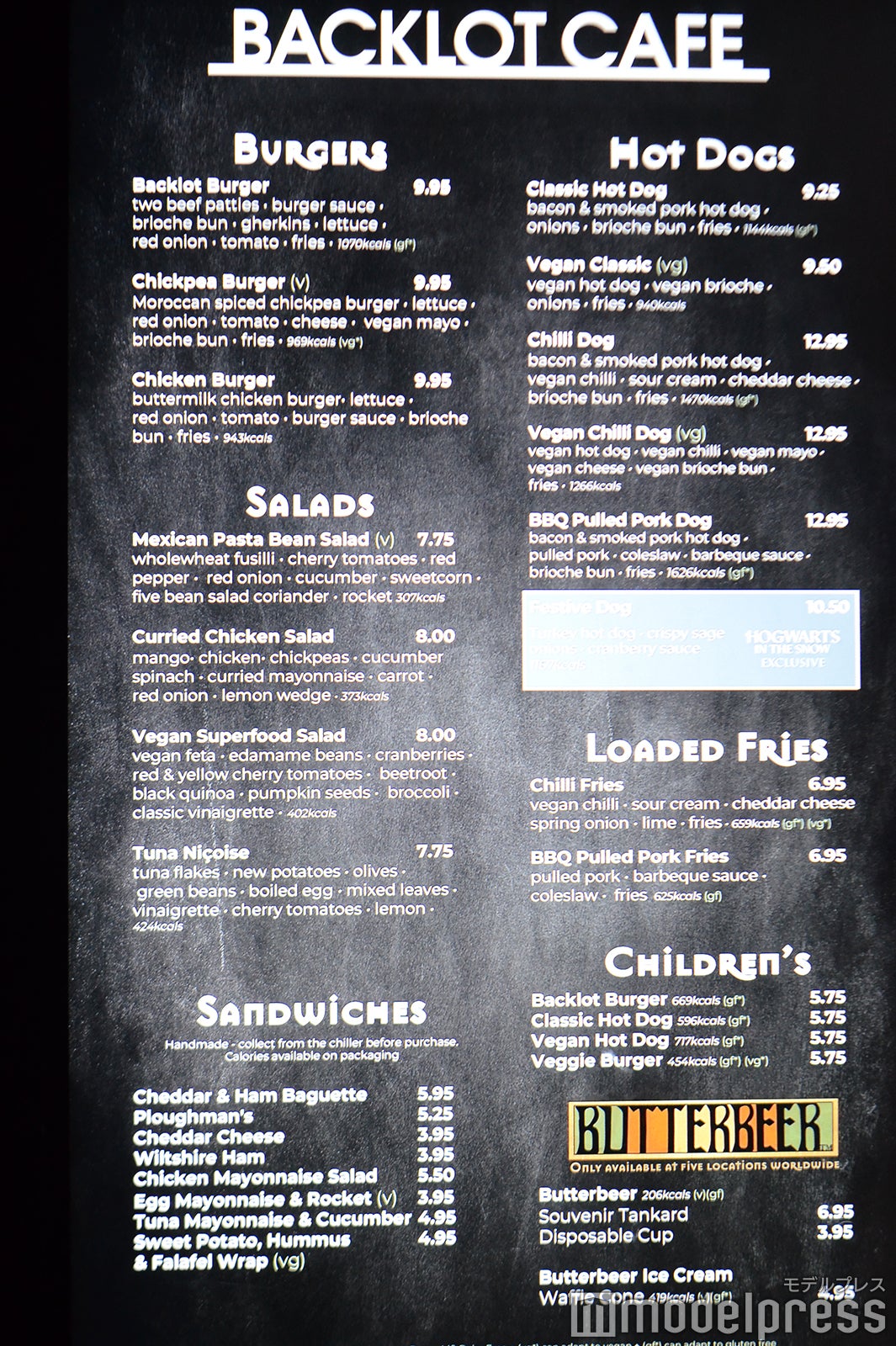 ワーナー ブラザース スタジオツアーロンドン -　メイキング・オブ・ハリー・ポッター（C）モデルプレス Warner Bros. Studio Tour London – The Making of Harry Potter