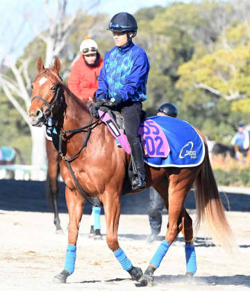 【新馬戦】フォワードシャッセ 動きの良さ目立つ 中尾助手「まじめなタイプです」母は重賞3勝馬バウンスシャッセ