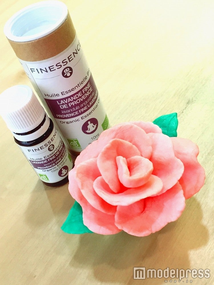 今回のスペシャルテーマは『美食オイル』／画像提供：太陽のマルシェ実行委員会