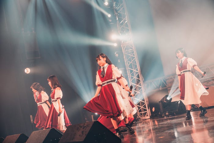 かすみ草とステラ/撮影:真島洸 (提供写真)