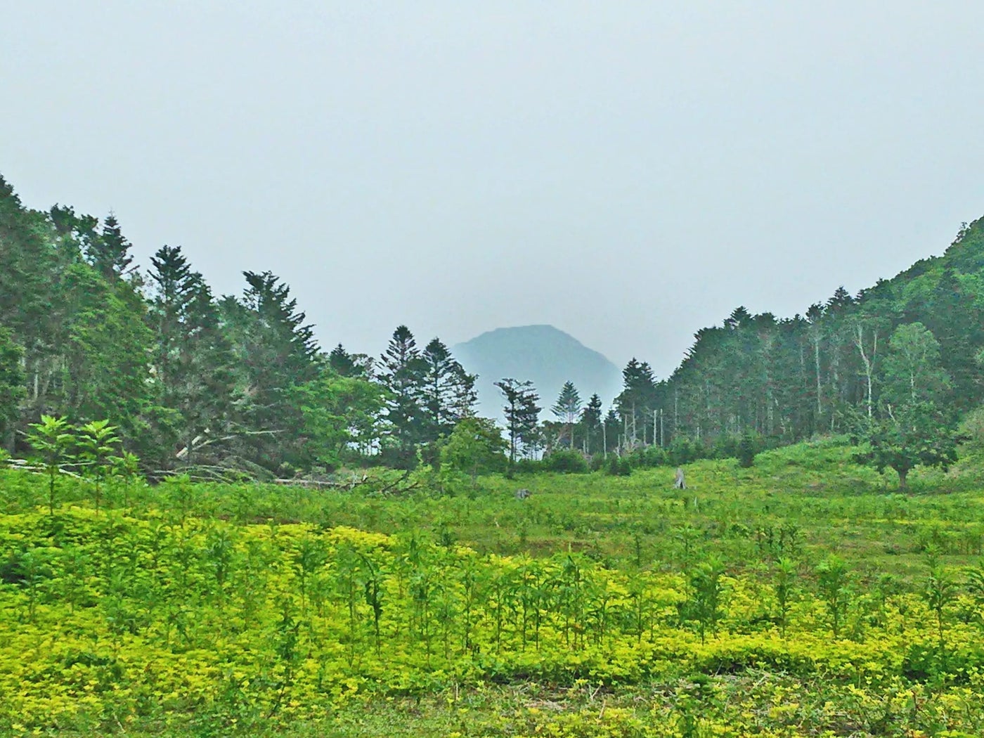 中島にある龍の座・大平原