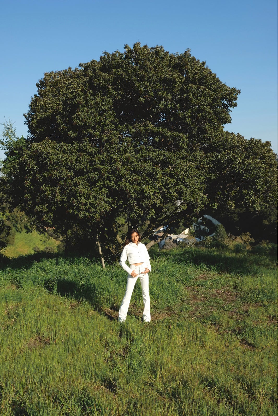 ローラ／STUDIO R330（提供写真）