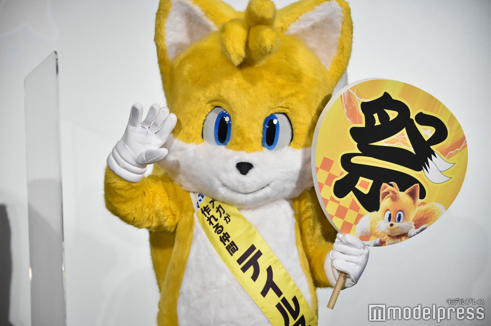 テイルス （C）モデルプレス