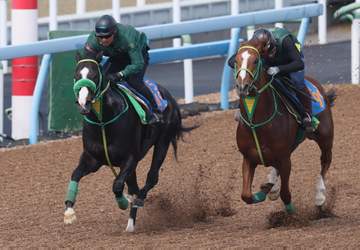 【アンタレスS】ブライアンセンス 鋭い伸び脚披露 斎藤誠師「ここは勝ち負けしていいんじゃないかな」