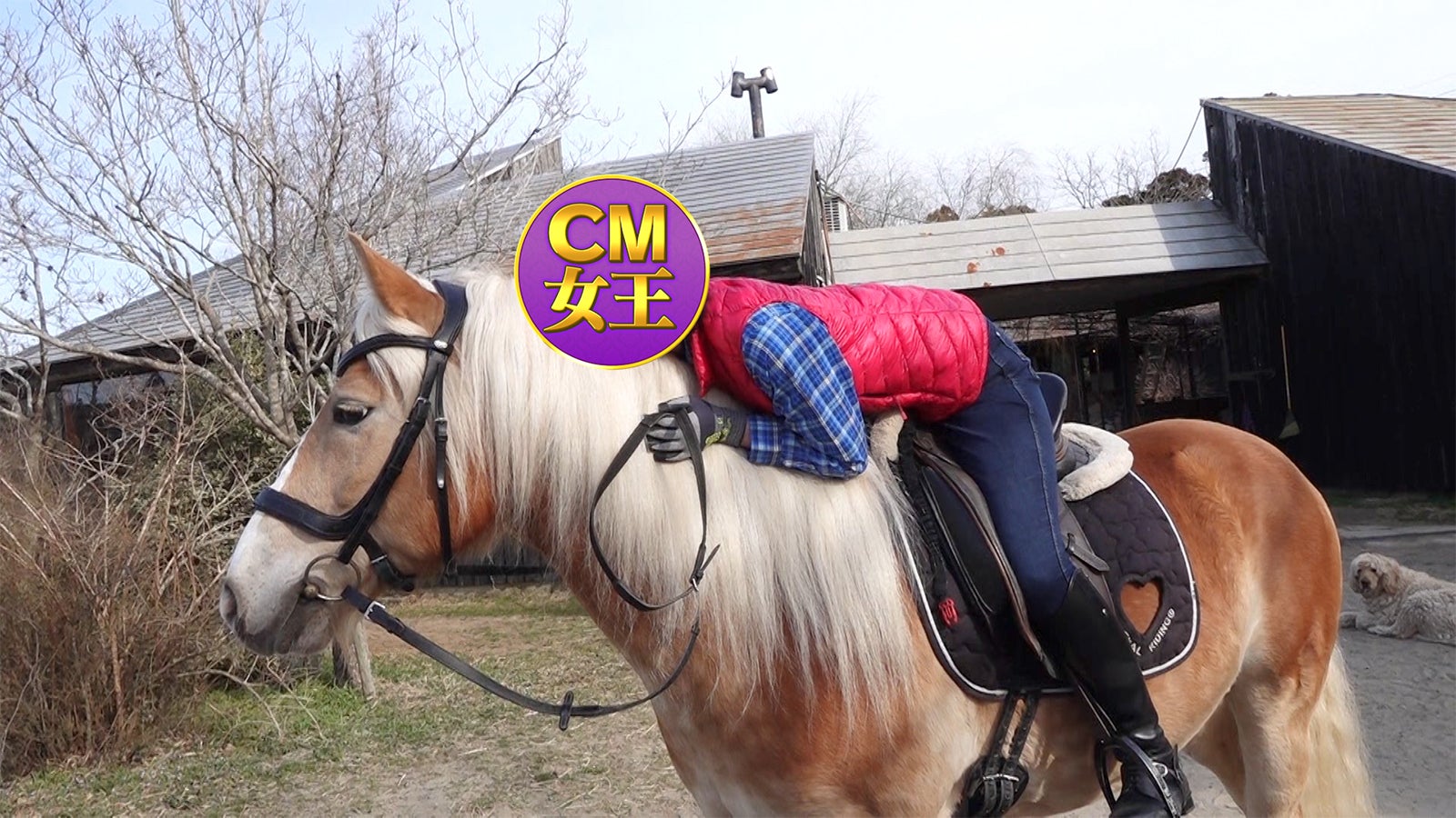 元CM女王（C）テレビ朝日