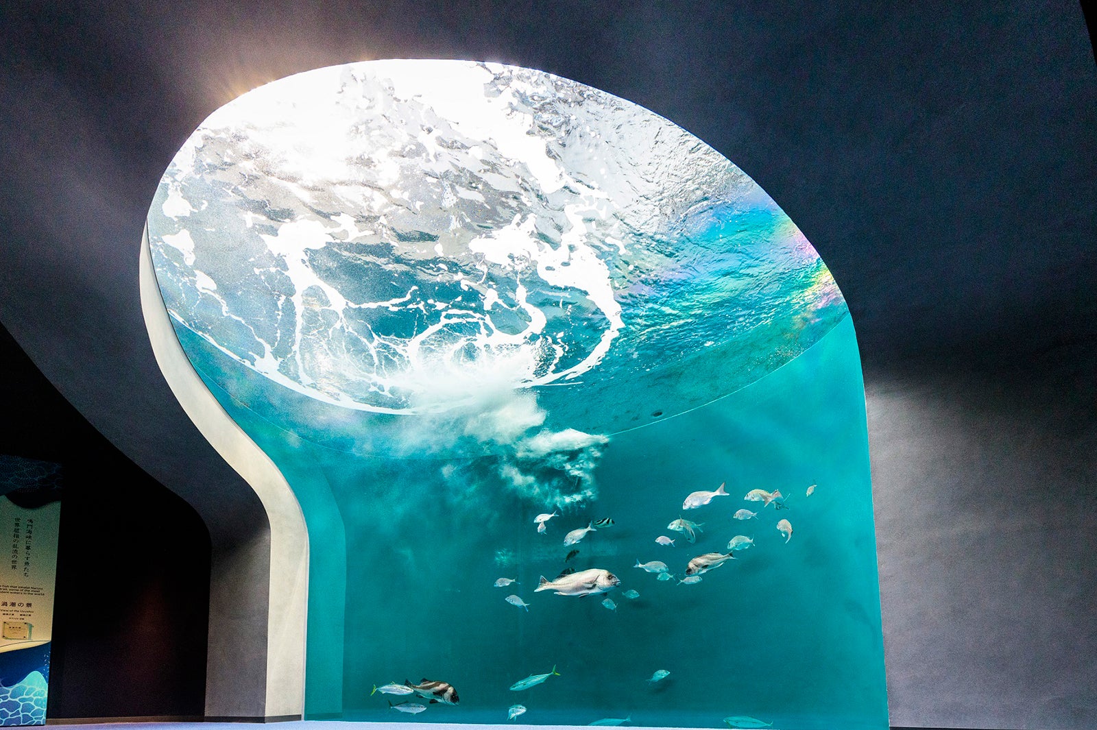 四国水族館（C）四国水族館