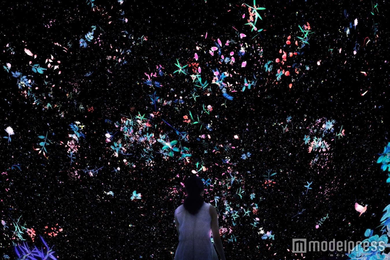 Story of the Forest／シンガポールの花々が刻々と変化しながら咲き渡る無限の宇宙空間／画像提供：チームラボ