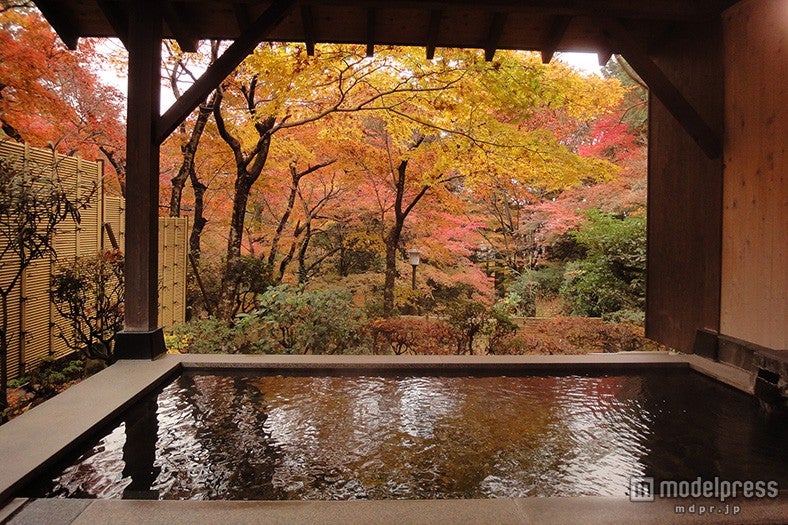 強羅環翠楼／画像提供：強羅環翠楼