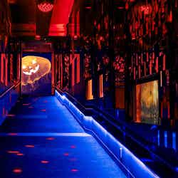 「クラゲとハロウィン」昼・夜の照明/画像提供:すみだ水族館