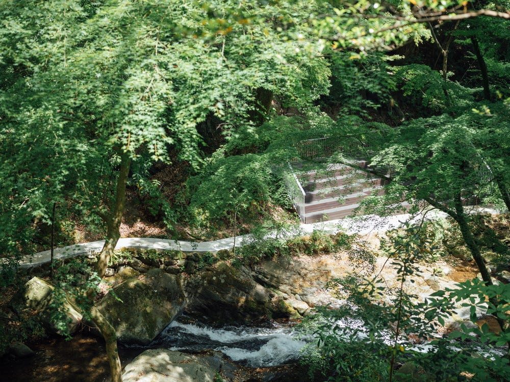 「湯河原惣湯 Books and Retreat」自然に触れ“温泉と食と本”を楽しむリトリート施設が誕生