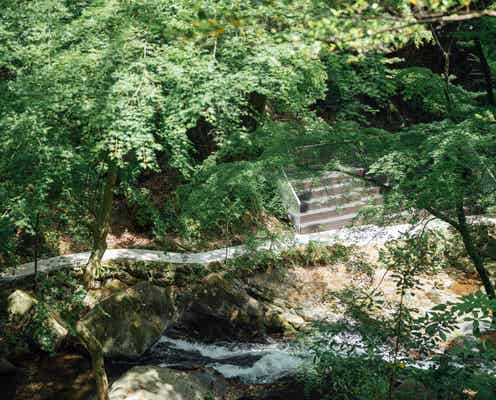 「湯河原惣湯 Books and Retreat」自然に触れ“温泉と食と本”を楽しむリトリート施設が誕生
