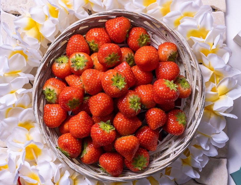 Travel 2 Strawberries／画像提供：コンラッド大阪