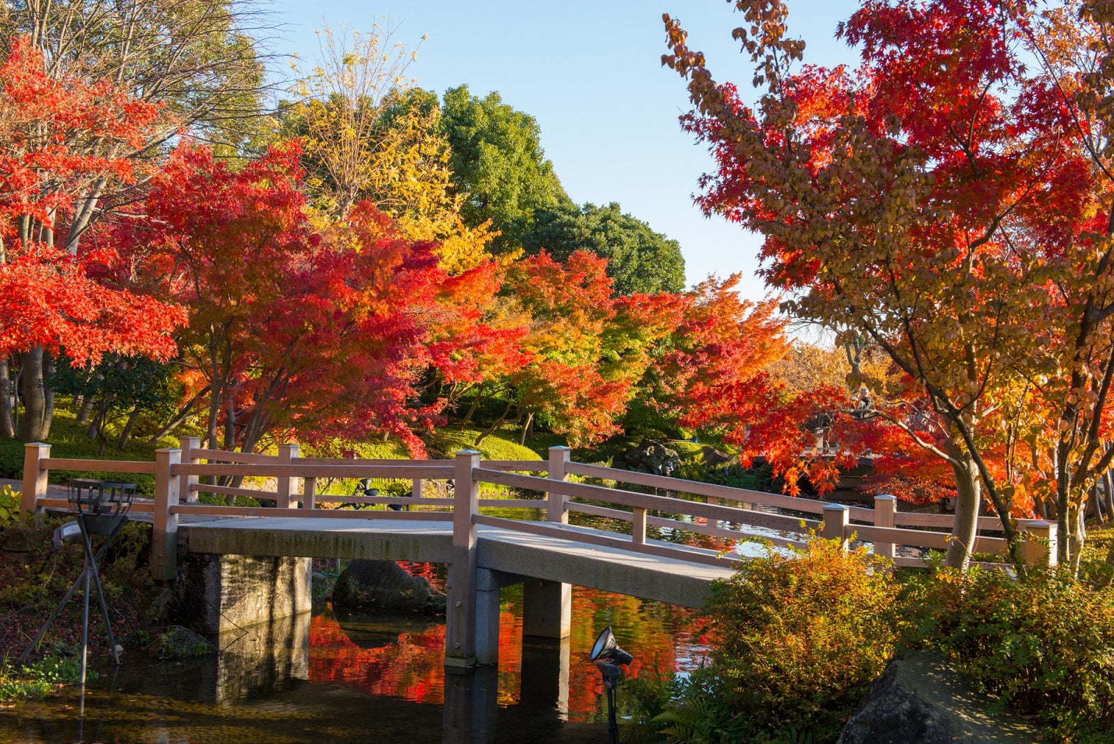 紅葉シーズン／提供画像