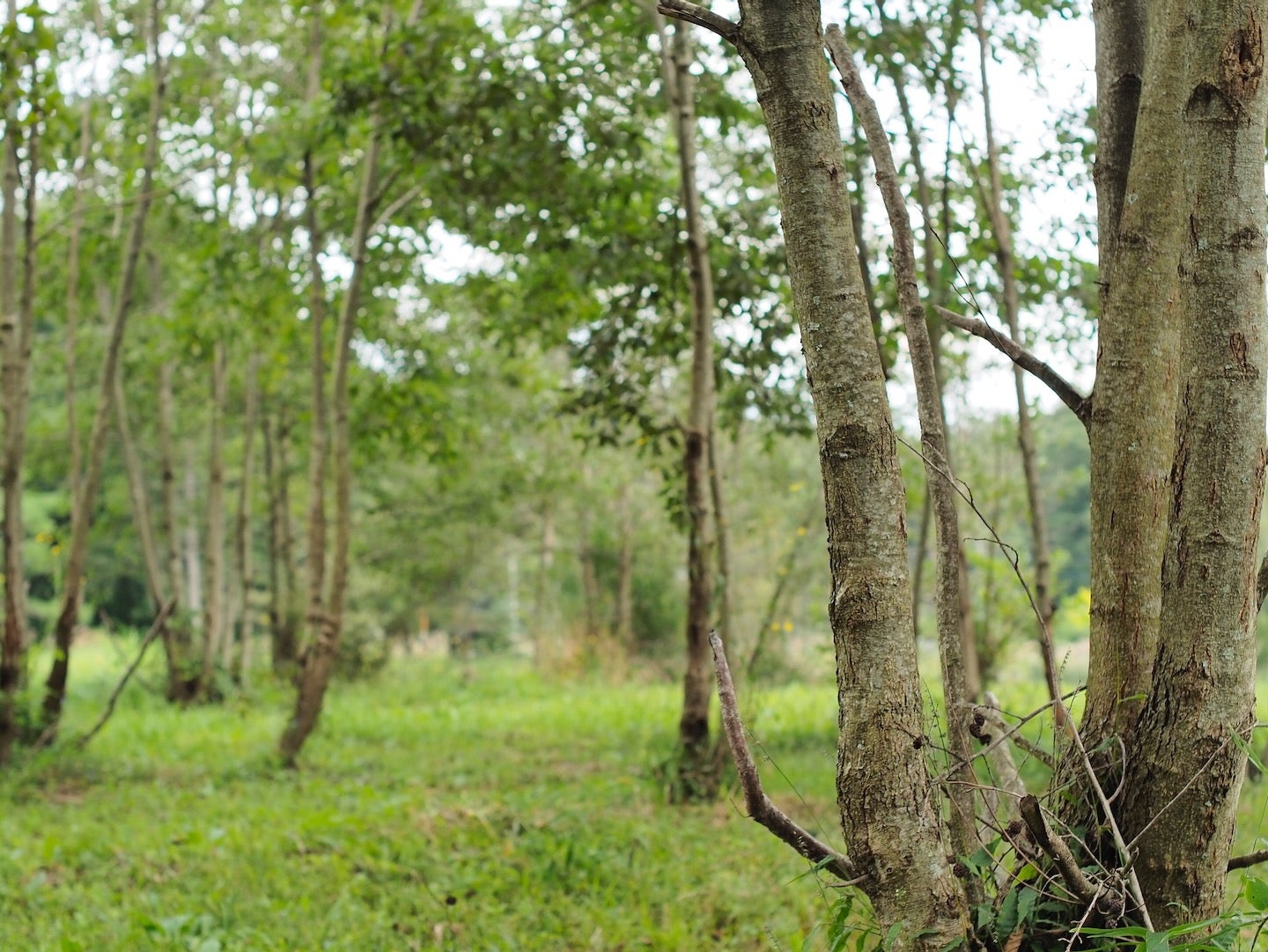 ザ ノマド 八ヶ岳／画像提供：THE NOMAD HOTELS & OUTDOORS