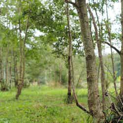 ザ ノマド 八ヶ岳/画像提供:THE NOMAD HOTELS & OUTDOORS