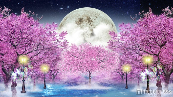 Tokioの桜ソング 22万球の夜桜イルミがお台場に春を届ける 女子旅プレス