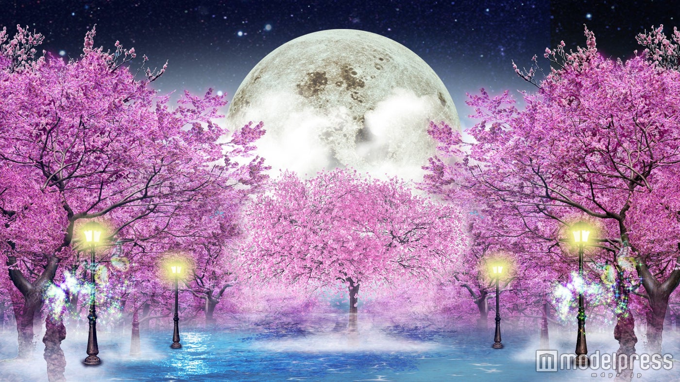 左側壁面イメージ：「夜桜と月光」イメージ／画像提供：東急不動産SCマネジメント