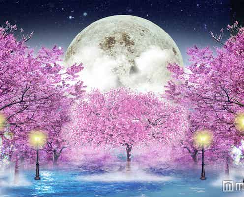 TOKIOの桜ソング&22万球の夜桜イルミがお台場に春を届ける