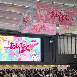 過去会場風景/提供画像