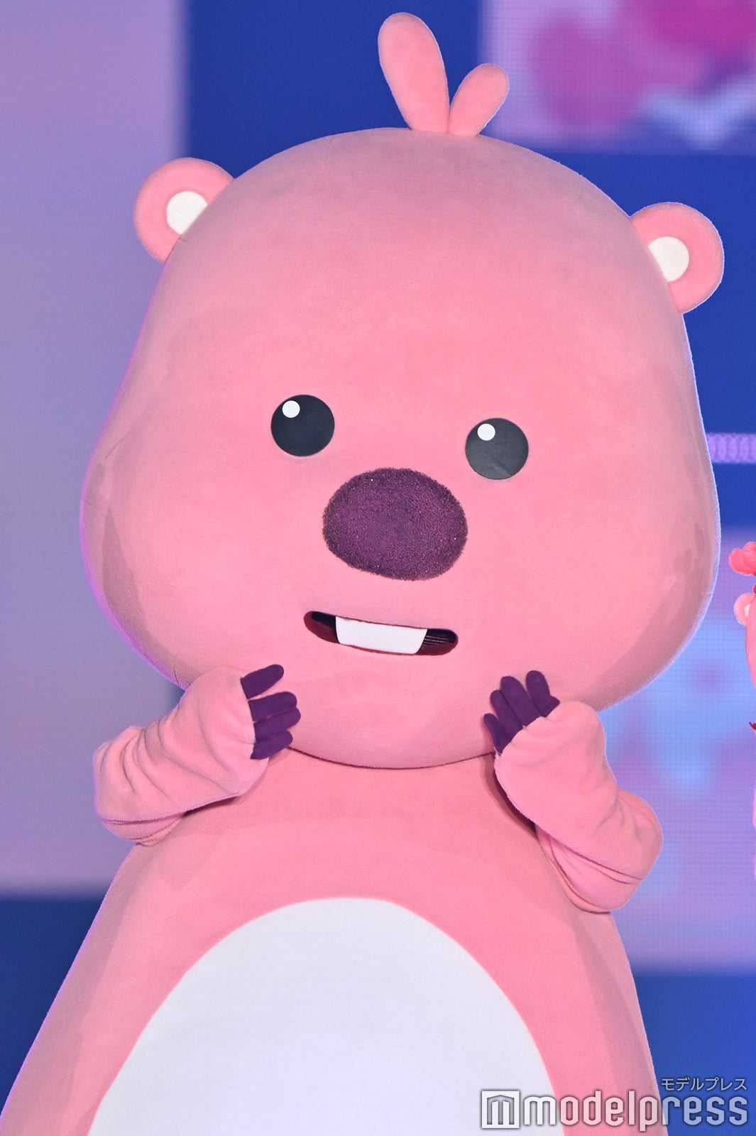 （C）モデルプレス