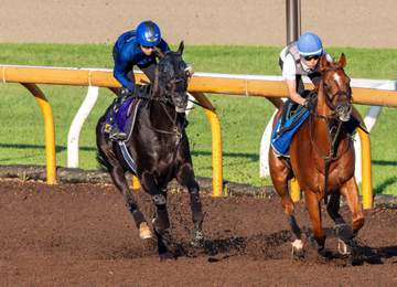 【宝塚記念】クロワデュノール 春の古馬3冠へ上昇 加速力強く併入 数日前には物足りなさも斉藤崇師「断然良くなっていた」