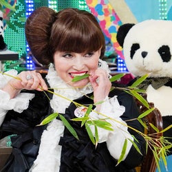黒柳徹子、笹をかじって「パンダ」を実演…『滝沢カレンのわかるまで教えてください』