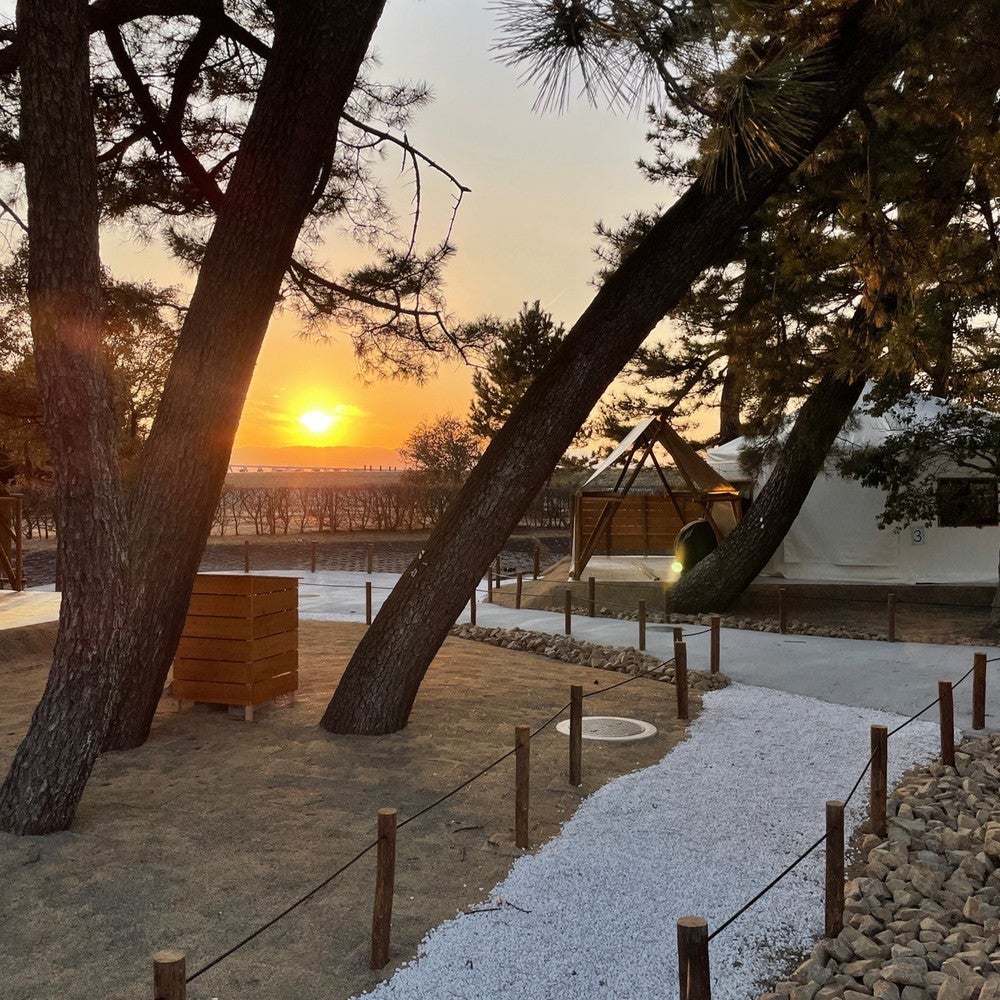 ウッドデザインパークいちのみや-紡-／画像提供：ウッドデザインパーク