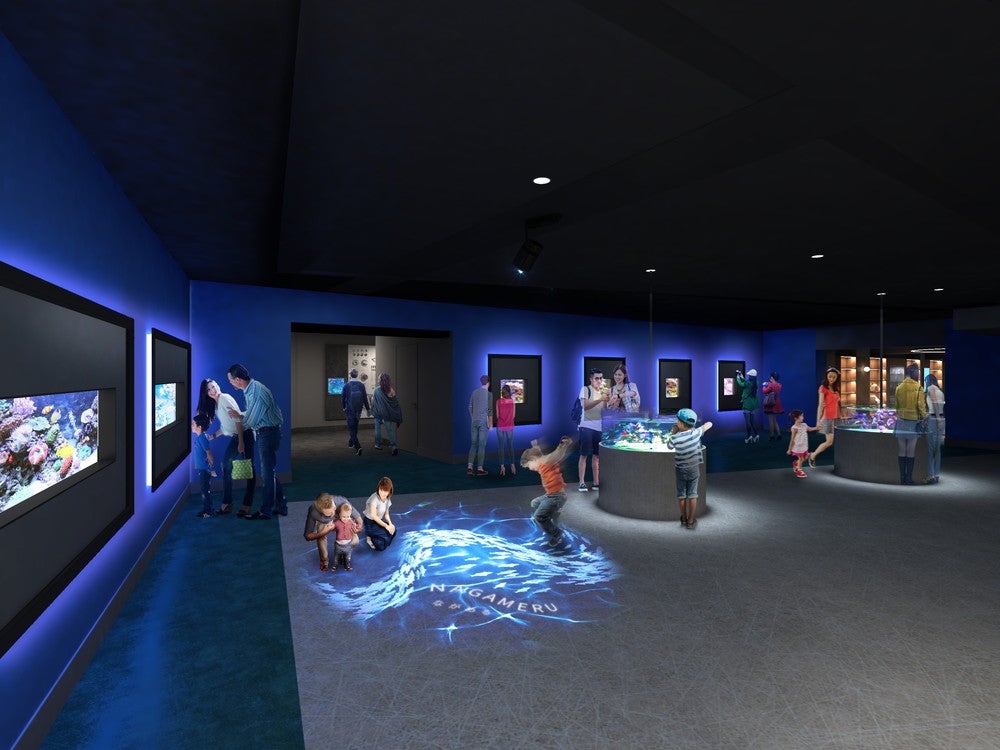 「スマートアクアリウム静岡」松坂屋静岡店に新水族館が誕生