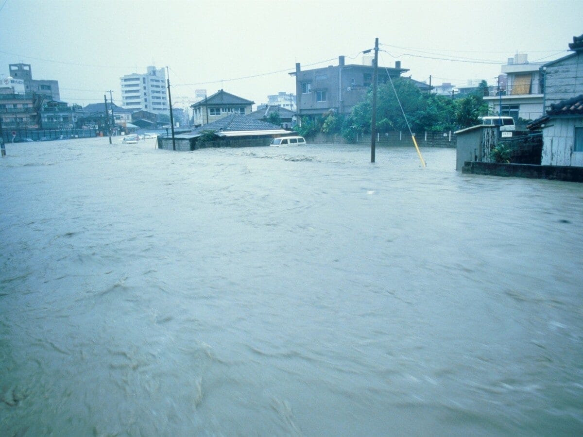台風の勢力をなめてはいけない。家の防御は大切！