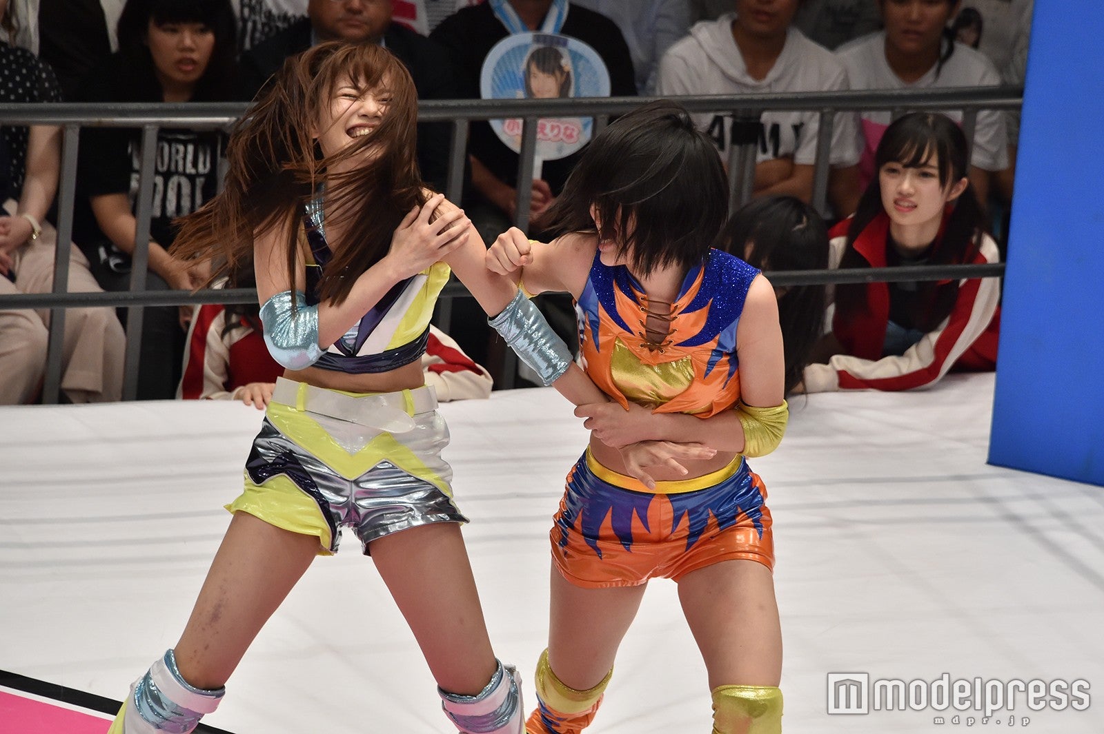 豆腐プロレス The REAL 2017 WIP CLIMAX（C）モデルプレス