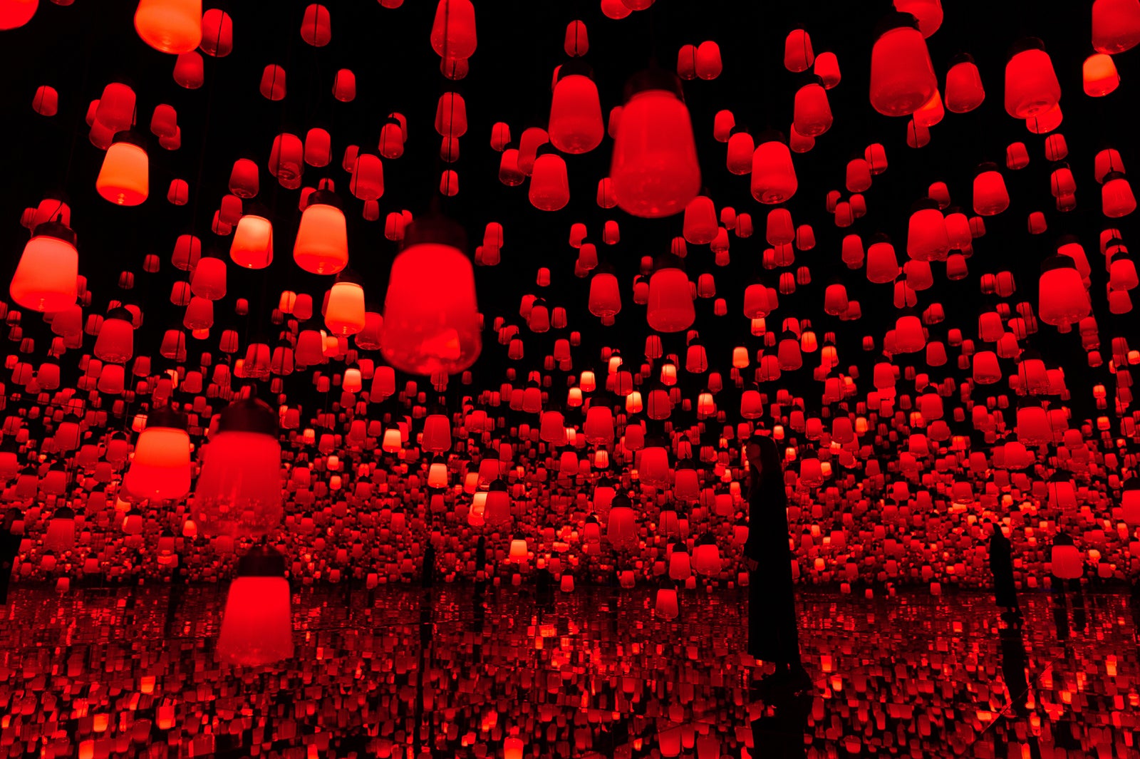 呼応するランプの森 - ワンストローク、Flame／画像提供：チームラボ