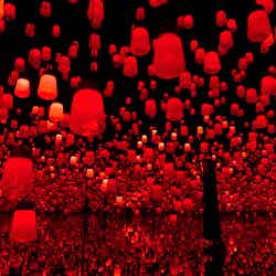 呼応するランプの森 - ワンストローク、Flame/画像提供:チームラボ