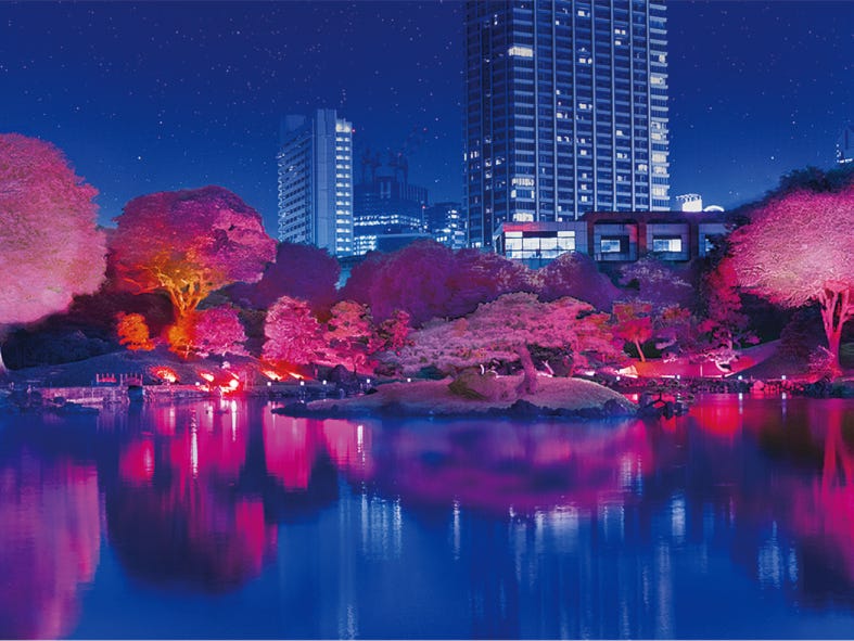 “光の桜”が満開に!東京で夜間ライトアップ「旧芝離宮夜会」幻想的な光の世界
