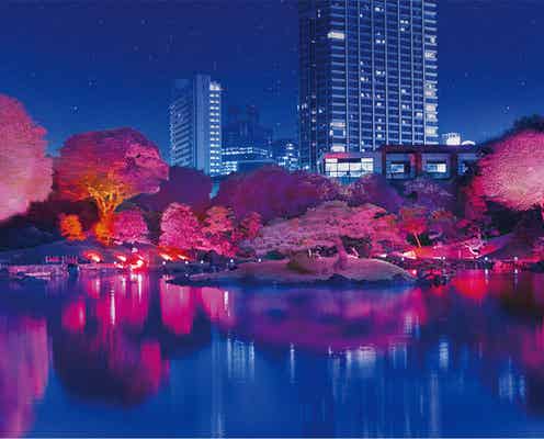 “光の桜”が満開に!東京で夜間ライトアップ「旧芝離宮夜会」幻想的な光の世界
