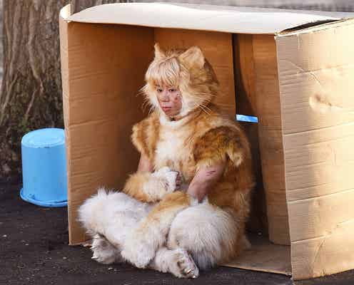 キスマイ北山宏光、衝撃の“リアル猫”姿解禁「手応えを感じている」<トラさん>