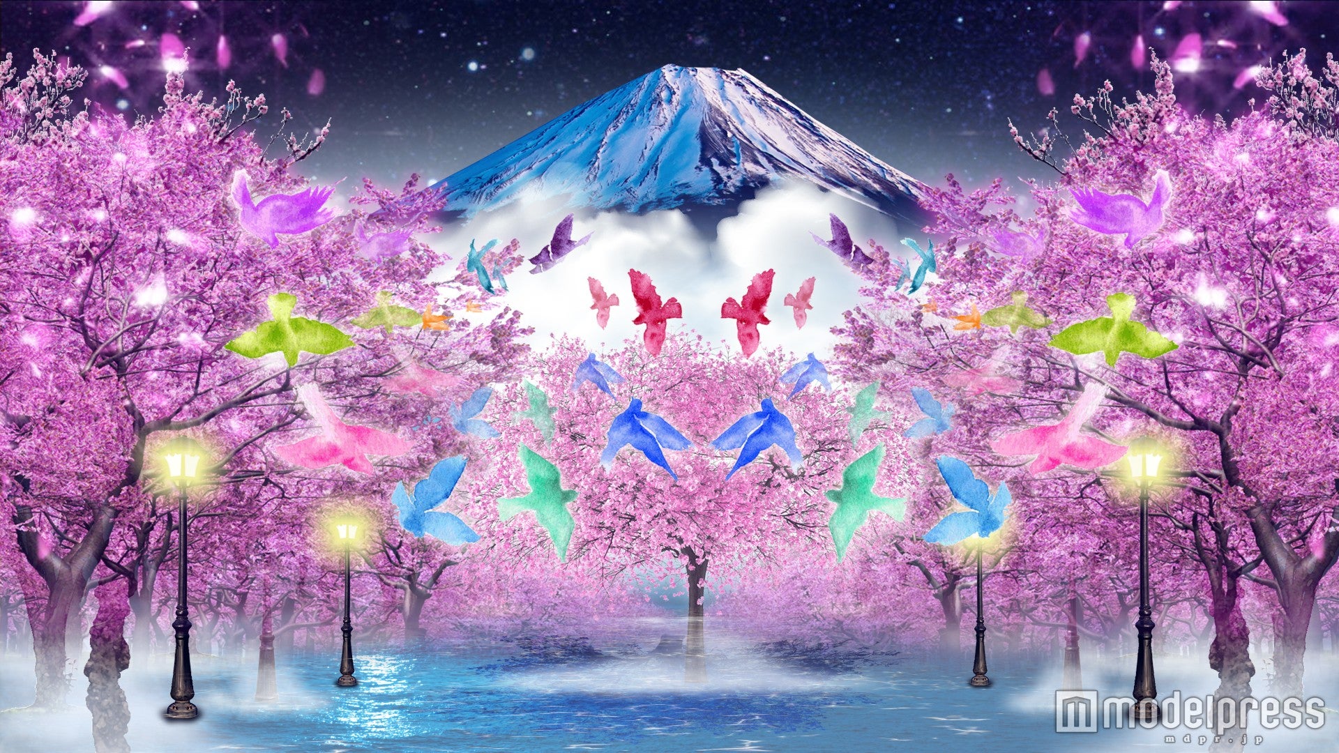 TOKIOの桜ソング＆22万球の夜桜イルミがお台場に春を届ける