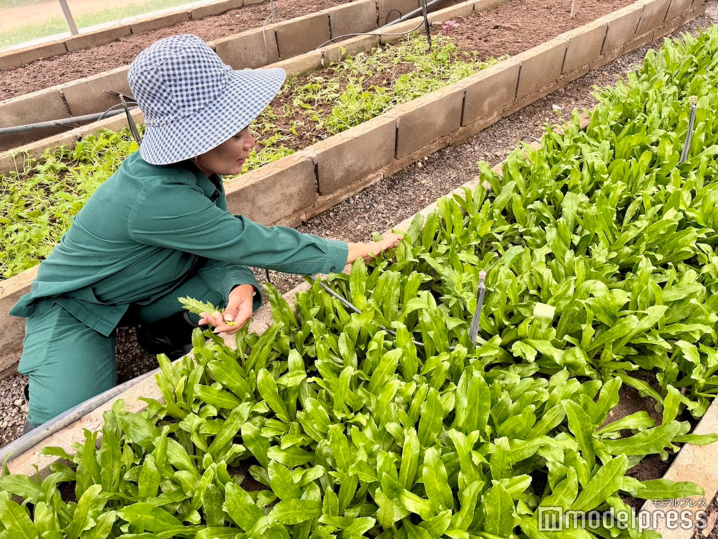 チバソム（C）モデルプレス