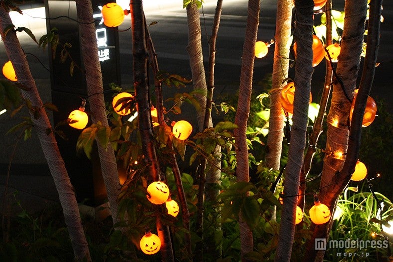 ハロウィンイルミネーション（過去の様子）（C）TOKYO-SKYTREE TOWN