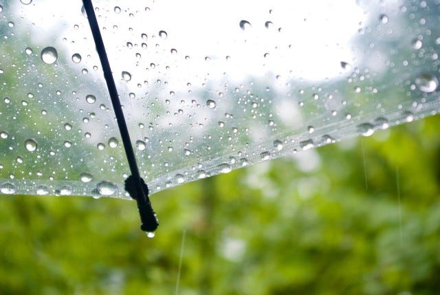 家族で行きたい！子どもと一緒に楽しめる「西宮の絶品グルメ」3選