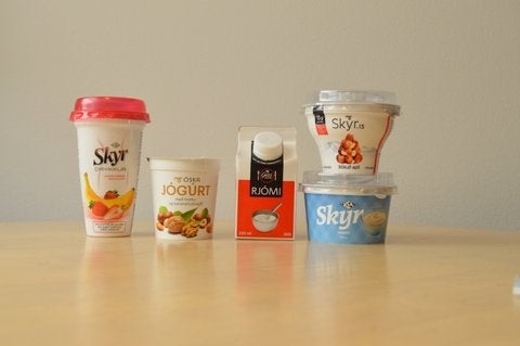 スキーム／画像提供：Guide to Iceland Ehf.