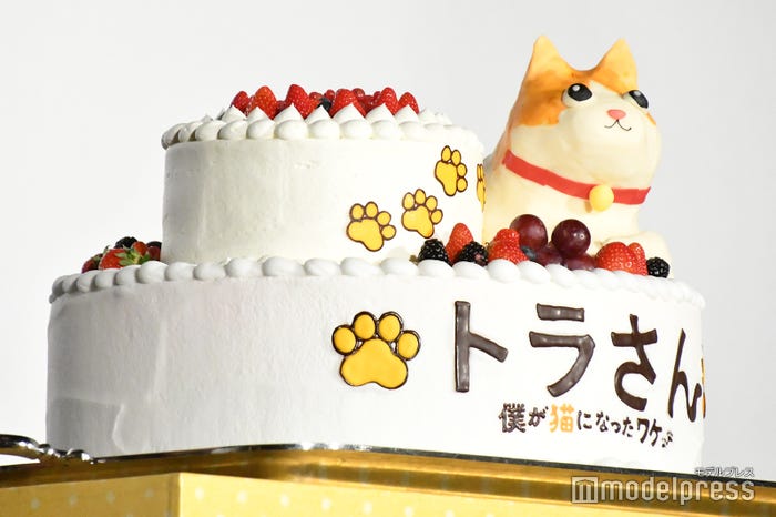 ケーキ(C)モデルプレス